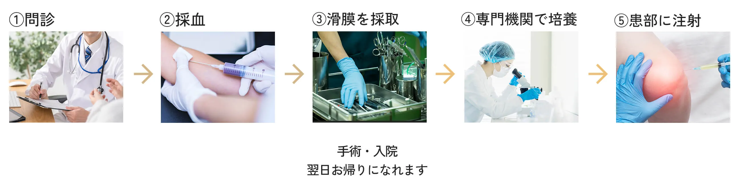 治療の方法について